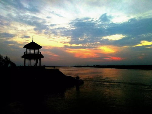 手机摄影 镜头下的生活艺术与无限可能